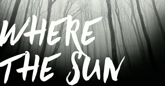 If My Book: Where the Sun Shines Out by Kevin Catalano